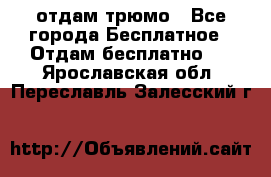 отдам трюмо - Все города Бесплатное » Отдам бесплатно   . Ярославская обл.,Переславль-Залесский г.
